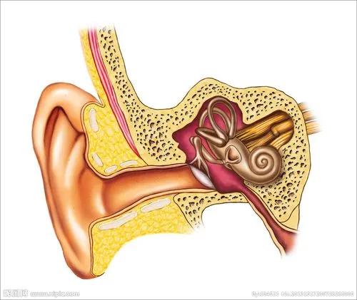耳聋是什么原因引起的